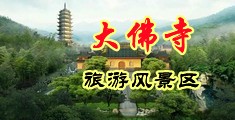鸡巴操美女黄色网站在线中国浙江-新昌大佛寺旅游风景区